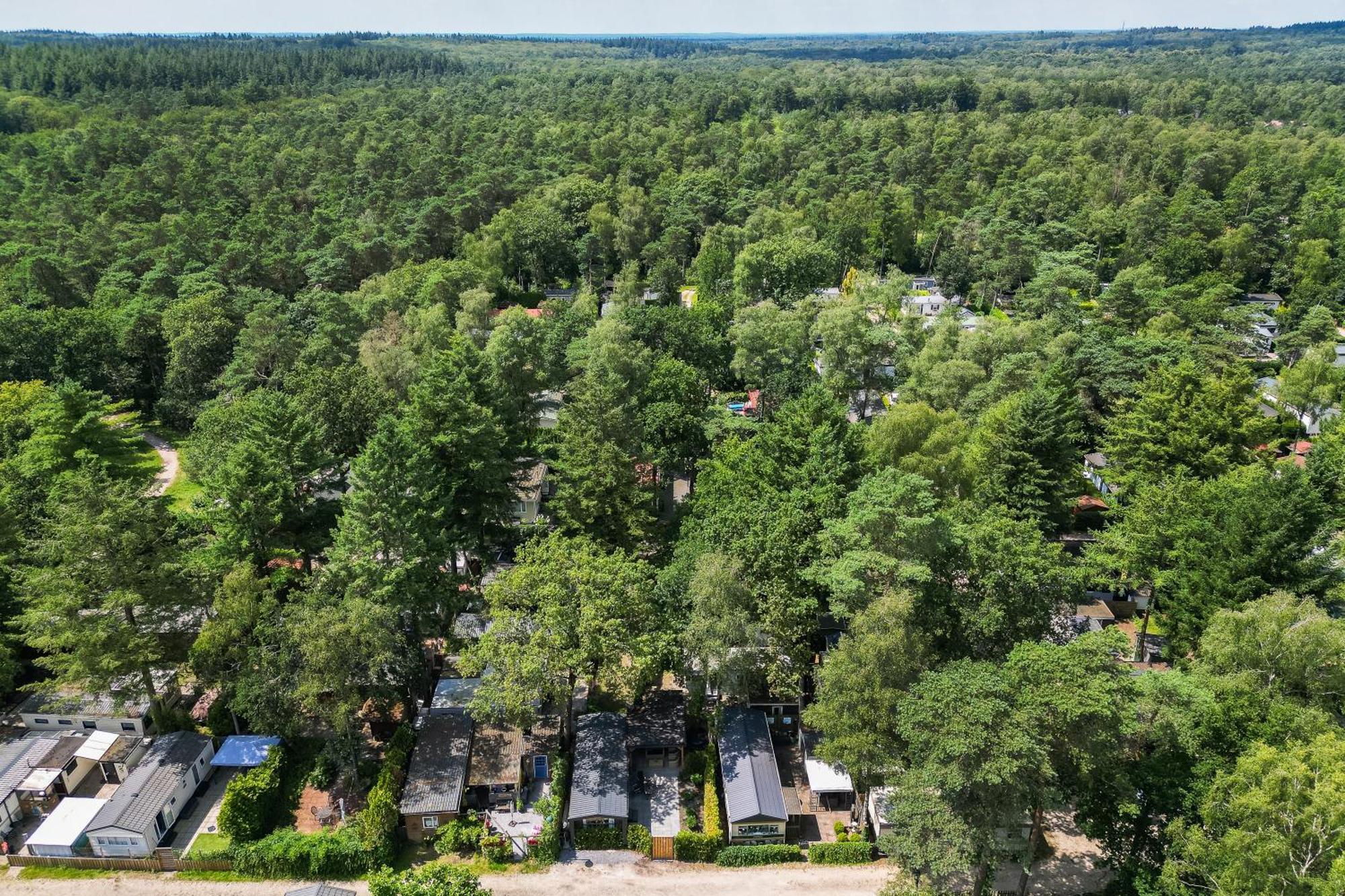 Veluwe Hoenderloo Luxury Chalet With Private Sauna And Hot Tub - Swimming Pool Tennis Court Supermarket Bowling Alley Theatre And Entertainment For Children Exteriör bild