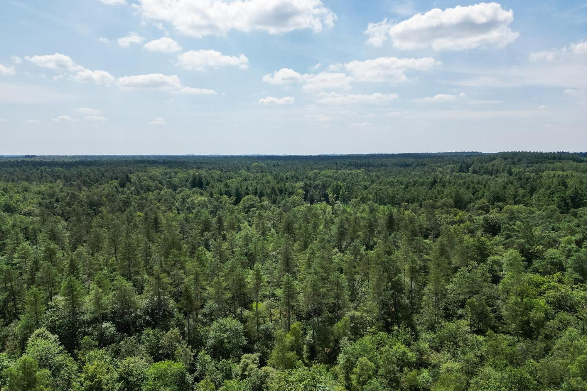Veluwe Hoenderloo Luxury Chalet With Private Sauna And Hot Tub - Swimming Pool Tennis Court Supermarket Bowling Alley Theatre And Entertainment For Children Exteriör bild