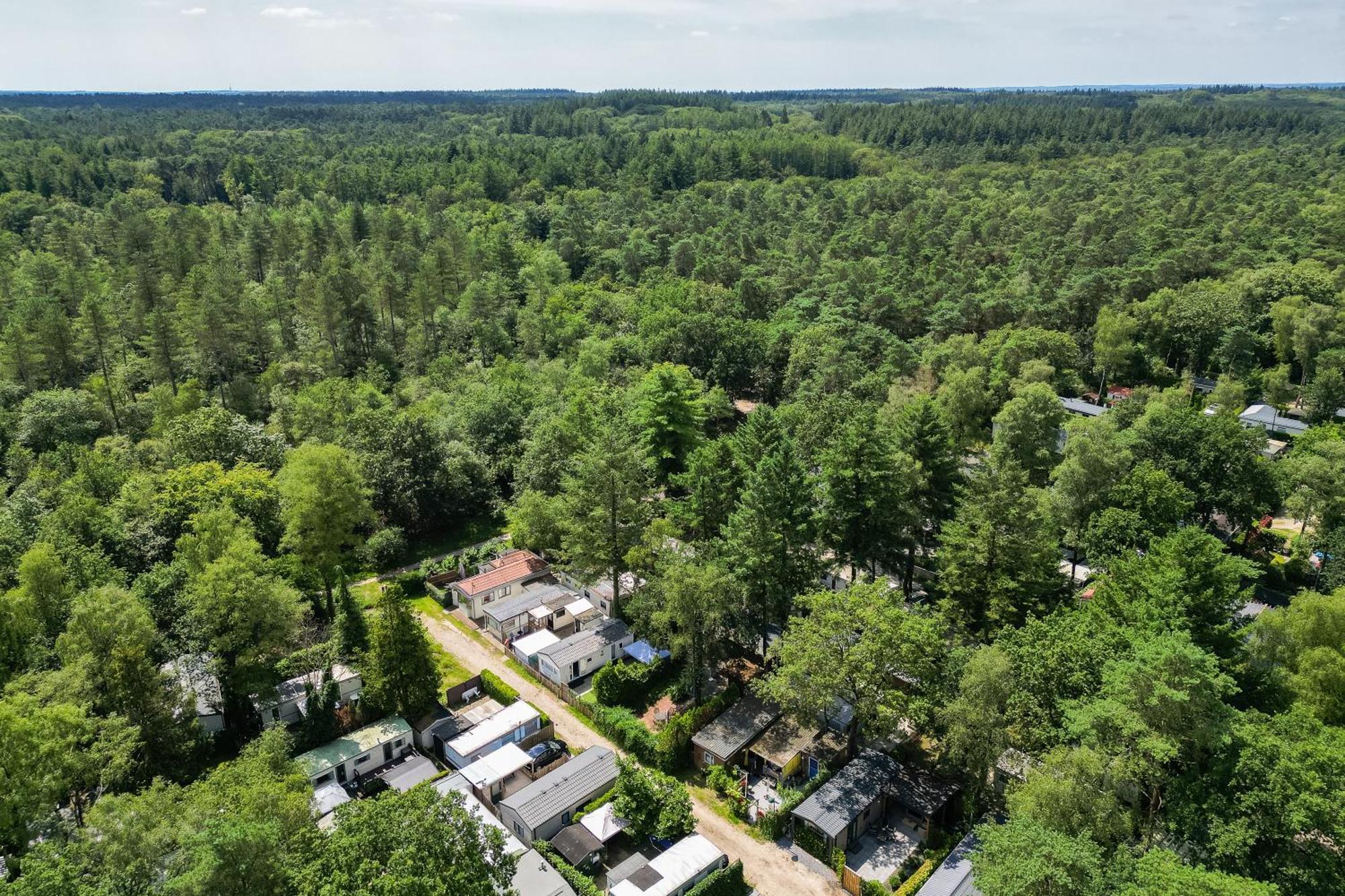 Veluwe Hoenderloo Luxury Chalet With Private Sauna And Hot Tub - Swimming Pool Tennis Court Supermarket Bowling Alley Theatre And Entertainment For Children Exteriör bild